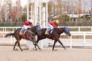 [NSP PHOTO]한국마사회, 제34회 스포츠서울배 개최