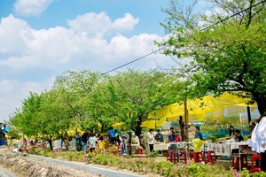 [NSP PHOTO]곡성군, 전남도 주관 관광지 및 지역상권 활력 경관조성 사업 선정