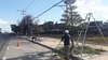 [NSP PHOTO]서산시, 가로수 전정 작업 진행 중