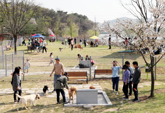 NSP통신-용인시 기흥호수공원 반려견 놀이터에서 시민들이 반려견과 여가를 즐기고 있다. (용인시)