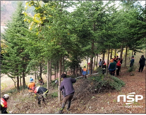[NSP PHOTO]장수군, 숲가꾸기사업 대대적 추진…21억 투입