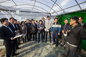 [NSP PHOTO]경북도의회 농수산위, 과채류 가격안정 대책 마련 농업현장 방문