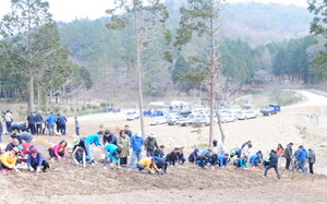 [NSP PHOTO]진도군, 식목일 기념 나무심기 행사