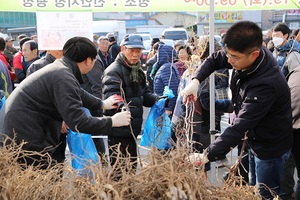 [NSP PHOTO]진안군, 나무 나누어주기 행사 성황