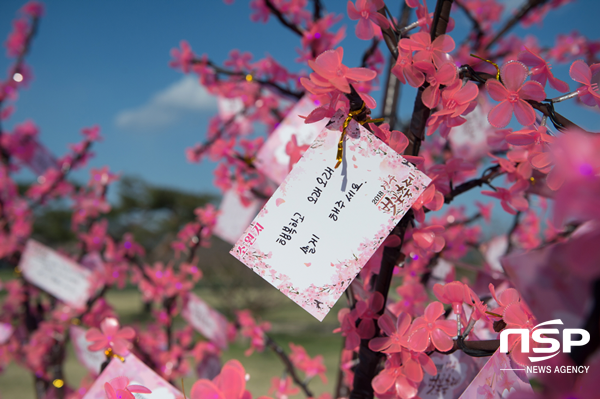 NSP통신-지난해 경주벚꽃축제 사진. (경주시)