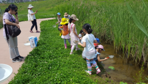 [NSP PHOTO]고양시 푸른도시사업소, 근린공원 생태체험탐방 운영