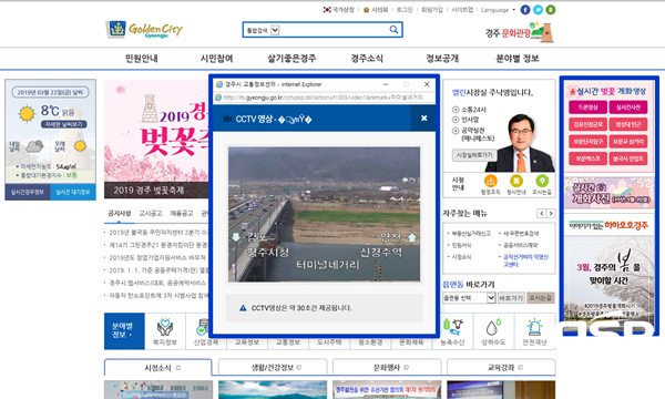 NSP통신-경주시 홈페이지 경주 벚꽃 정보 실시간 제공 화면. (경주시)