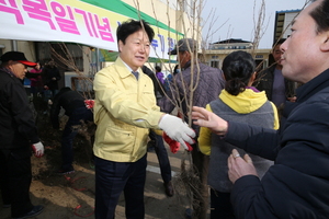 [NSP PHOTO]성주군, 나무 나누어주기 행사 펼쳐