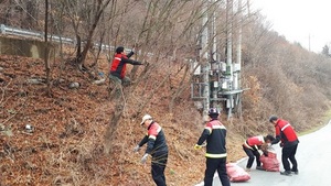 [NSP PHOTO]담양군,  농림·산림지 동시 발생 병해충 방제 총력