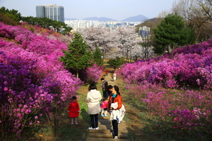 [NSP PHOTO]부천시, 봄 알리는 3대 봄꽃축제 열려
