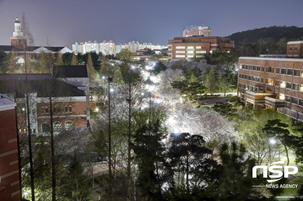 NSP통신-계명대 성서캠퍼스 행소박물관 주변 벚꽃길 야경 전경 (계명대학교)