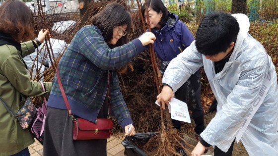 NSP통신-지난해 용인시 처인구에서 진행된 나무나눠주기 행사 모습. (용인시)