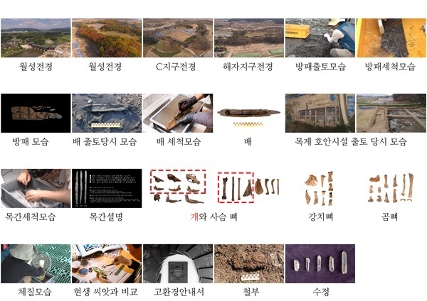 NSP통신-경주 월성 해자 출토 유물. (국립경주문화재연구소)