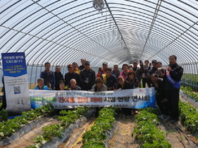[NSP PHOTO]포항시, 간식용 감자 재배 현장 연시회 개최