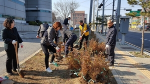 [NSP PHOTO]평택 안중읍, 도시숲 조성 나무심기 실시