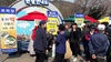 [NSP PHOTO]보령시, 봄맞이 농촌체험 프로그램 운영