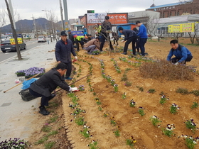 [NSP PHOTO]용인시 이동읍, 새봄 맞아 청사 인근 꽃밭 조성