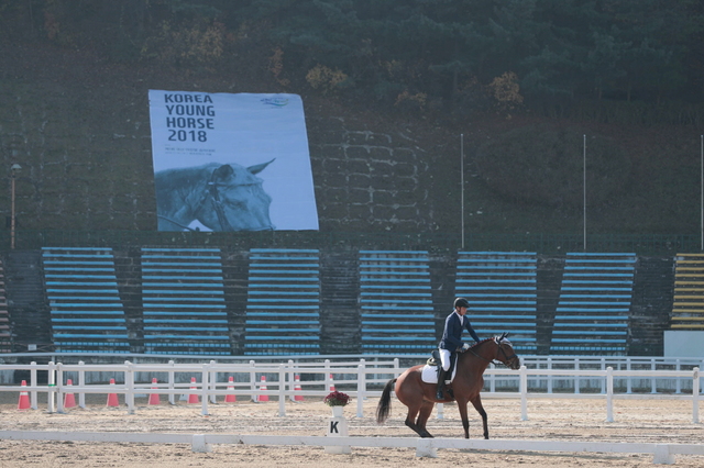 NSP통신-2018년 11월 16일 제1회 어린말 승마대회 시행모습. (한국마사회)