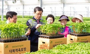 [NSP PHOTO]김돈곤 청양군수, 농가공급 예정 고추모종 상태 점검