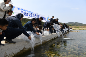 [NSP PHOTO]영덕황금은어야 무럭무럭 자라서 돌아오너라