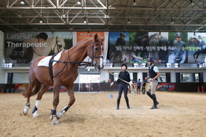 [NSP PHOTO]한국마사회, 말산업 인턴십 지원대상 확대···지원금 상향