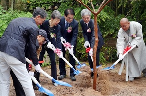 [NSP PHOTO]강진군, 백운동 원림 국가지정문화재 명승 지정 기념식 개최