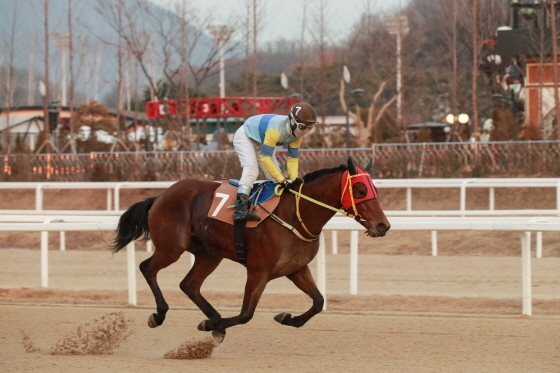 NSP통신-2018년 12월 2일 MBN배 경주마 독도지기와 유승완 기수. (한국마사회)