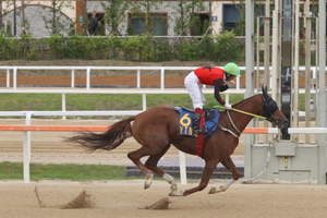 [NSP PHOTO]렛츠런파크 서울, 5월 경마시행계획 발표