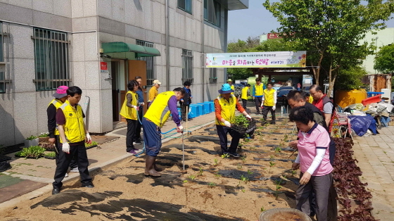 NSP통신-광명시 철산2동 누리복지협의체가 행정복지센터 옆에 마련된 텃밭에 상추, 고추, 토마토 등의 작물을 가꾸고 있다. (광명시)