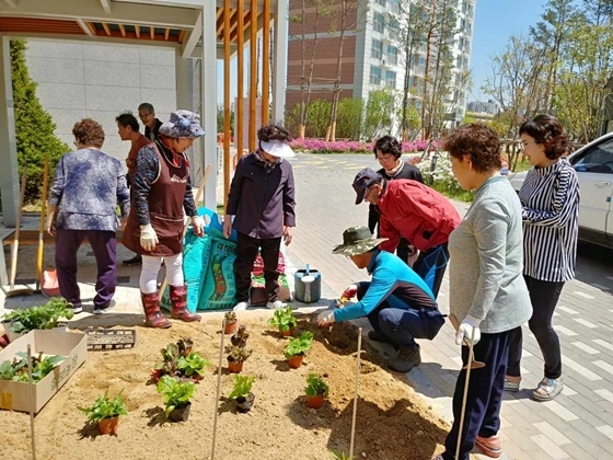 NSP통신-어르신들이 텃밭 작물을 돌보고 있다. (화성시)