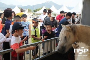 [NSP PHOTO]완주군, 제4회 완주말문화축제 성료