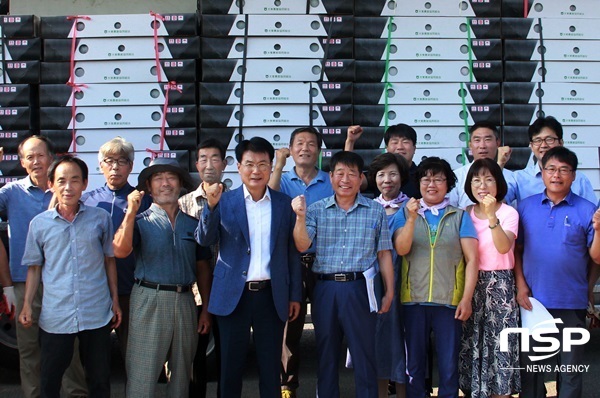 NSP통신-수출용 수국 상하차 작업현장을 방문한 이승옥 강진군수. (강진군)