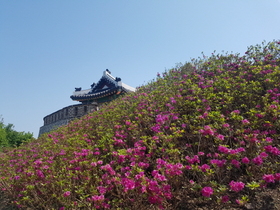 [NSP PHOTO]김포시, 문수산성 장대 주변 환경정비 실시