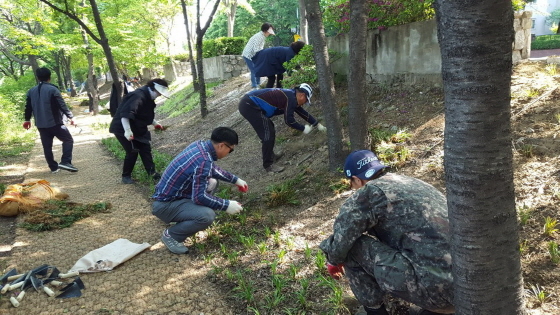 NSP통신-야탑2동 주민들이 탄천종합운동장 쪽 탄천변 소곤소곤 산책길 400m 구간에 맥문동 1만3300본을 심고 있다. (성남시)