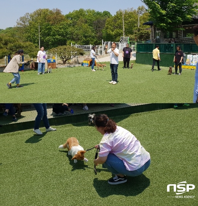 NSP통신-11일 오전 화성시 봉담읍 분천리에 위치한 이삭애견훈련소에서 가족의 달 5월을 맞이해 반려인 가족 25팀을 초청, 다양한 테마를 가지고 놀이와 훈련교실을 진행했다. (김종식 기자)