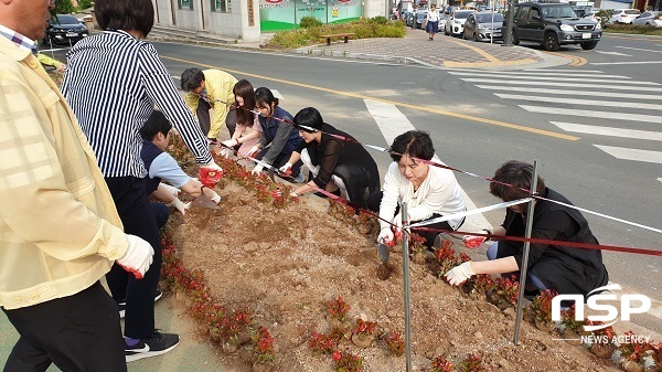 NSP통신-청도군보건소가 2019청도소싸움축제를 앞두고 주차장부근 주요 도로변에 아름다운 꽃길을 조성했다. (청도군)