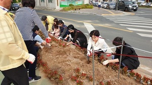 [NSP PHOTO]청도군보건소, 청도소싸움축제 맞이 보건소 앞 아름다운 꽃길 조성