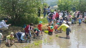 [NSP PHOTO]성남시, 모내기하고 쌀 포장하고 학교급식 체험