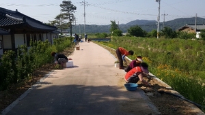 [NSP PHOTO]영덕군 창수면, 인량전통마을 경관조성 사업 실시