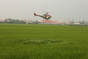 [NSP PHOTO]평택시, 쌀 적정생산 위한 무인헬기 공동방제 실시