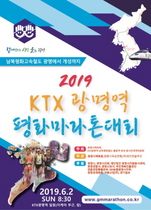 [NSP PHOTO]6월 2일 2019 KTX광명역 평화마라톤대회 열려