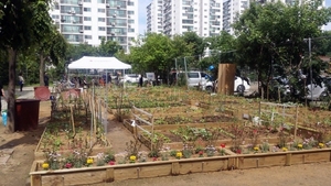 [NSP PHOTO]부천시, 공동체텃밭 조성해 주민 커뮤니티 활성화