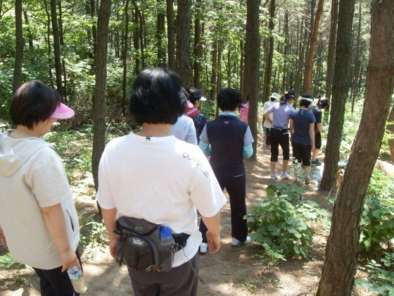 NSP통신-산책로를 걷고 있는 시민들 모습. (용인시)