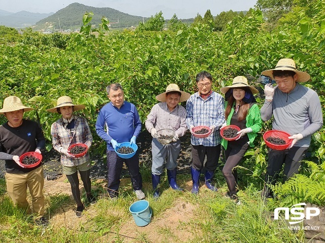 [NSP PHOTO]부안군, 영농철 농촌일손돕기 구슬땀