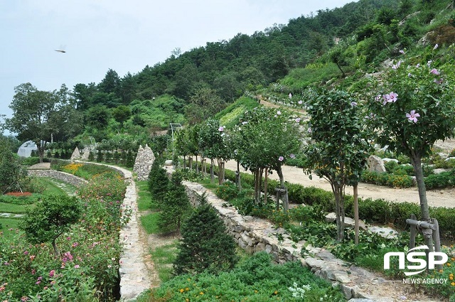 [NSP PHOTO]완주군, 만경강 수변생태공원에 무궁화동산 조성