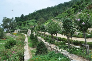 [NSP PHOTO]완주군, 만경강 수변생태공원에 무궁화동산 조성