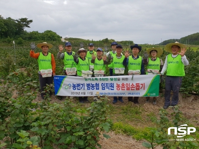 NSP통신-농협포항시지부와 관내 지점 임직원들이 11일 청하면 산딸기 재배농가를 찾아 부족한 일손돕기에 나섰다. (농협포항시지부)