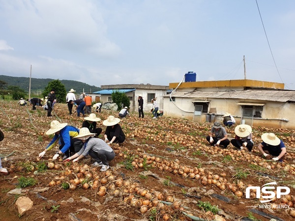 NSP통신-전남교육청 직원들이 11일 전개한 농촌일손돕기 봉사활동. (전남교육청)