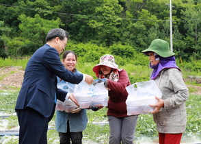 [NSP PHOTO]영양군, 외국인 계절근로자에 고국 음식 도시락 제작·배달