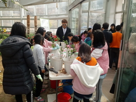 [NSP PHOTO]보성군, 한국차 박물관 체험프로그램 인기